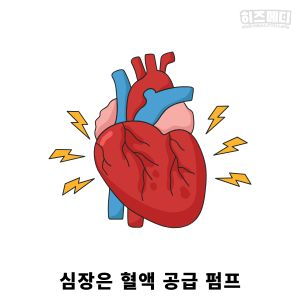 혈압 정상수치