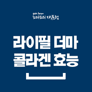  라이필 더마 콜라겐 부작용 효능 정리