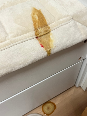  강아지 구토 혈토 피토
