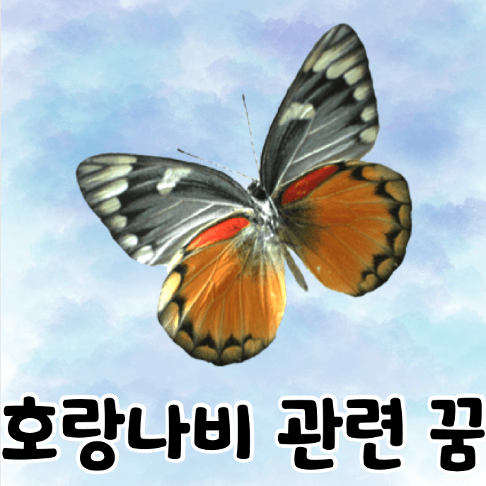 호랑나비