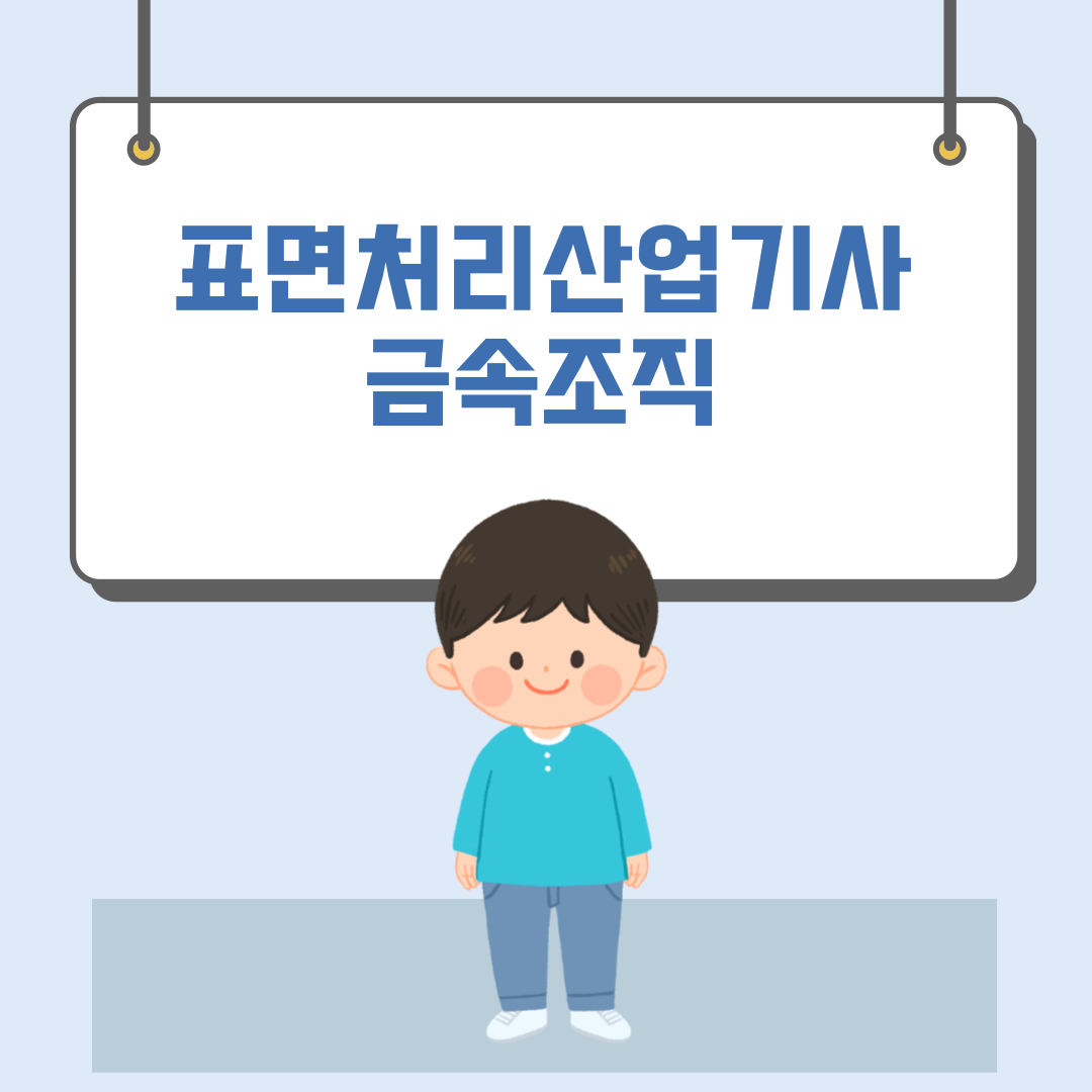  2002 표면처리산업기사 금속조직