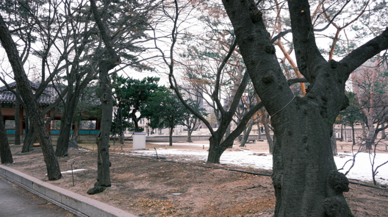 덕수궁안