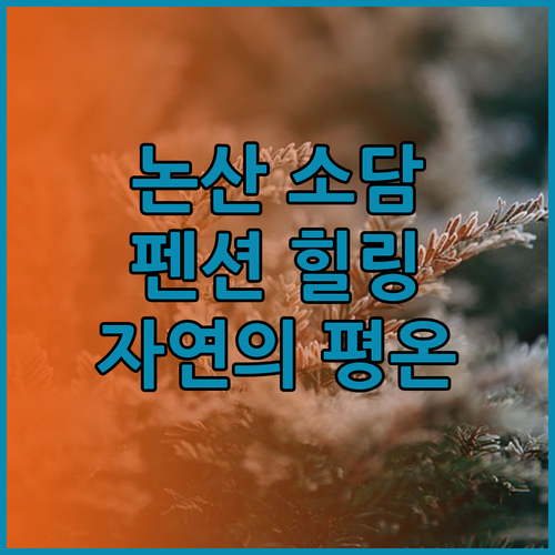 논산 소담 펜션에서 느끼는 자연의 평