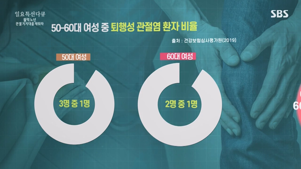일요특선 다큐멘터리.E343.231127p-NEXT.mp4_20231126_172743.382.jpg