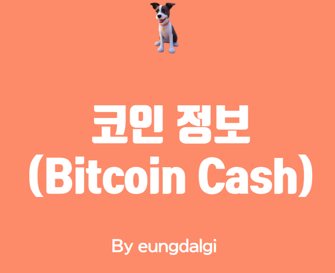  비트코인 캐시(Bitcoin Cash)에 대한 모든 것