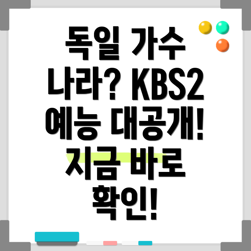 나라는 가수