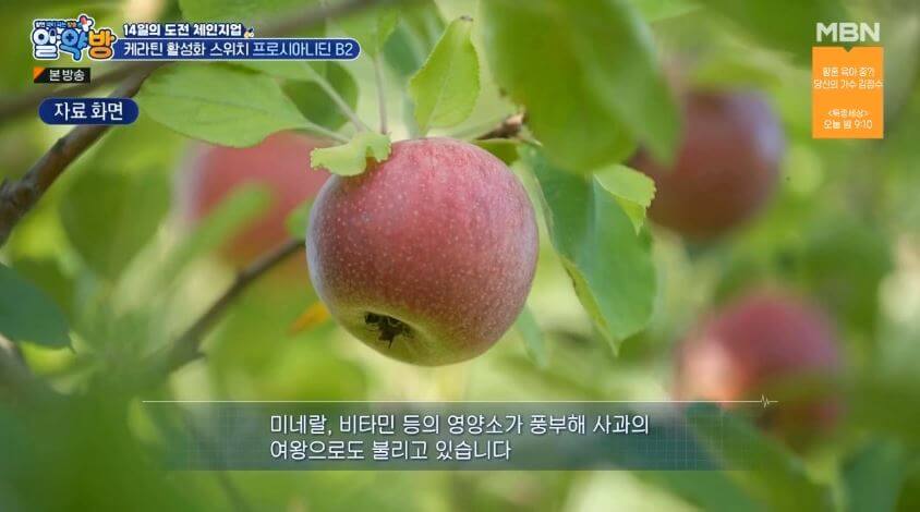아누카