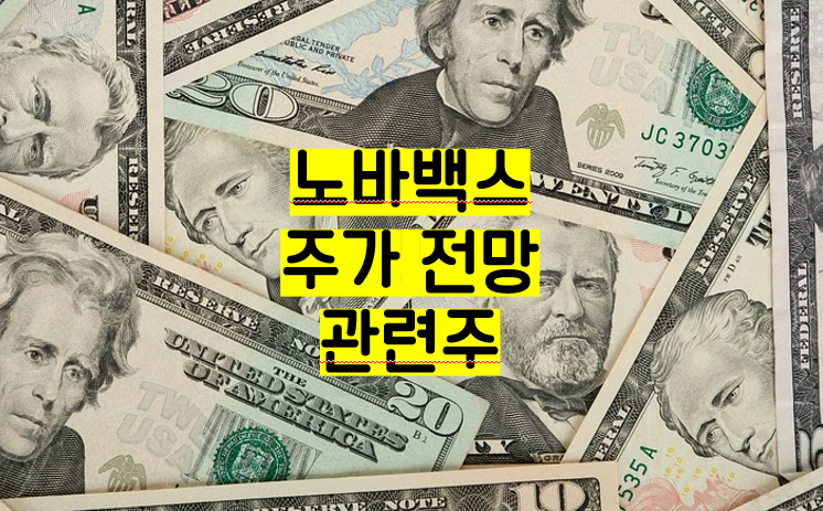 노바백스 관련주 주가전망 백신 승인