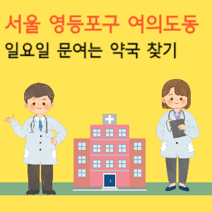 서울 영등포구 여의도동 일요일 문여는 약국