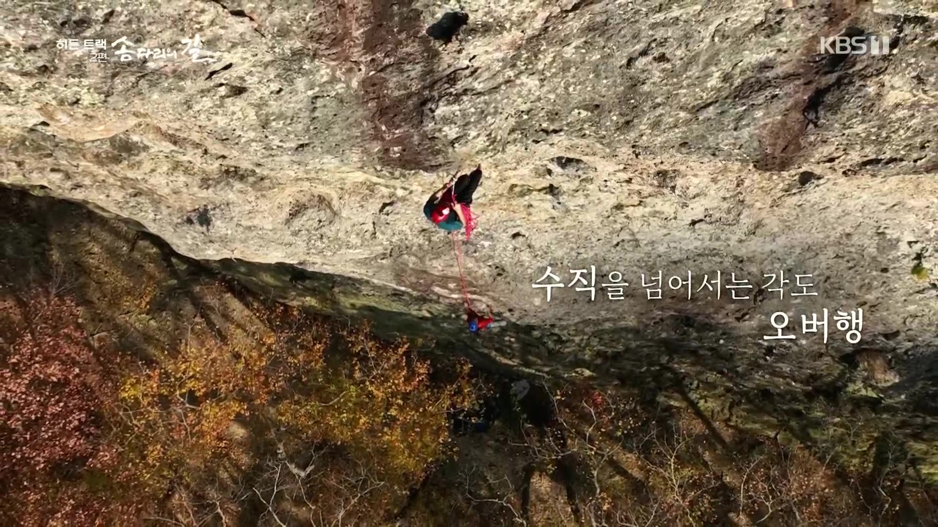 다큐 인사이트.E02.231215p.H264-F1RST.mp4_20231216_190024.871.jpg