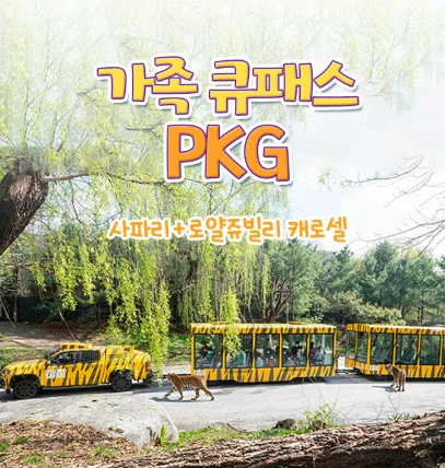 에버랜드 사파리 투어 예약방법(일반 투어&amp;#44; 스페셜 투어) 스마트 줄서기 활용 팁