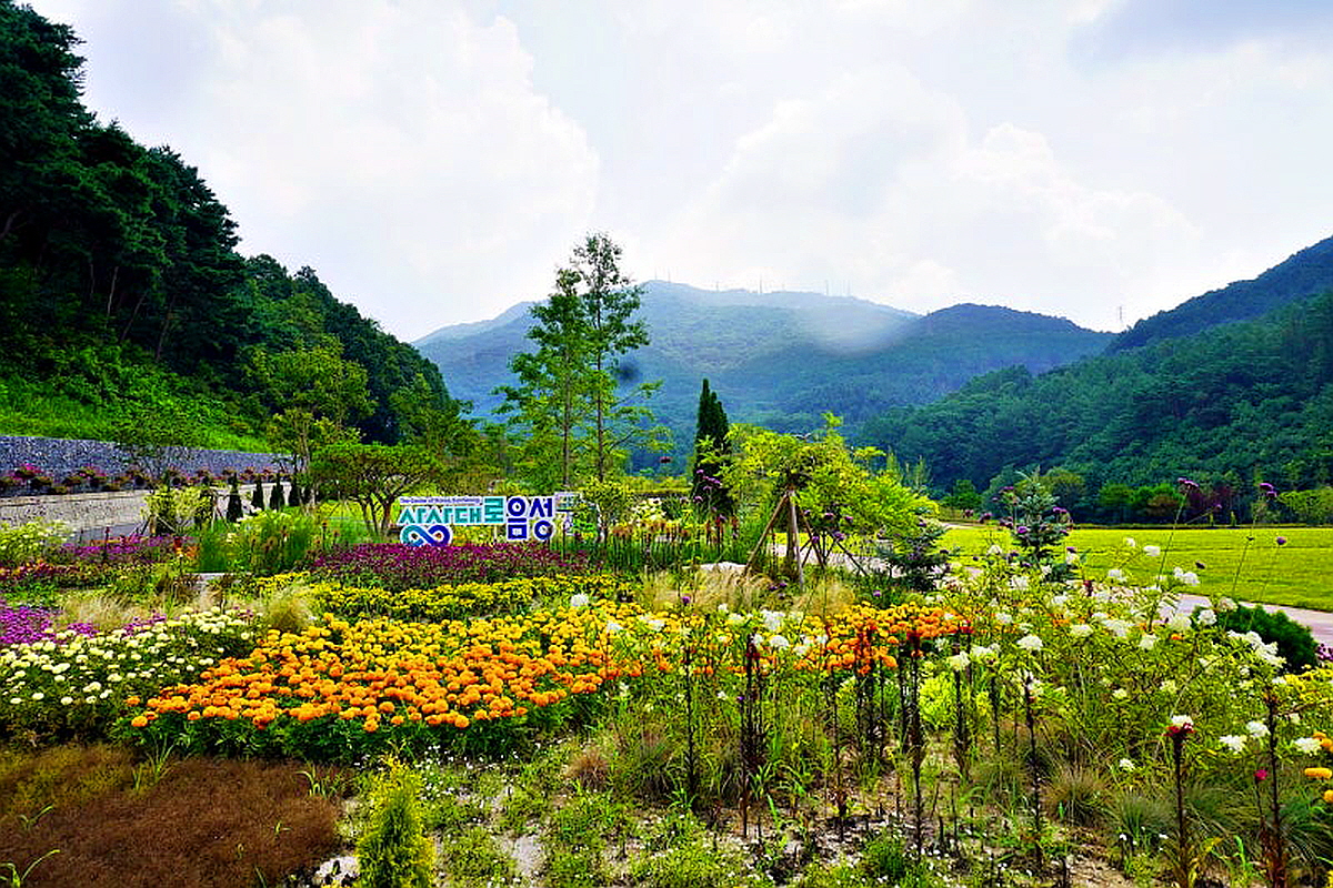 음성 봉학골 산림욕장