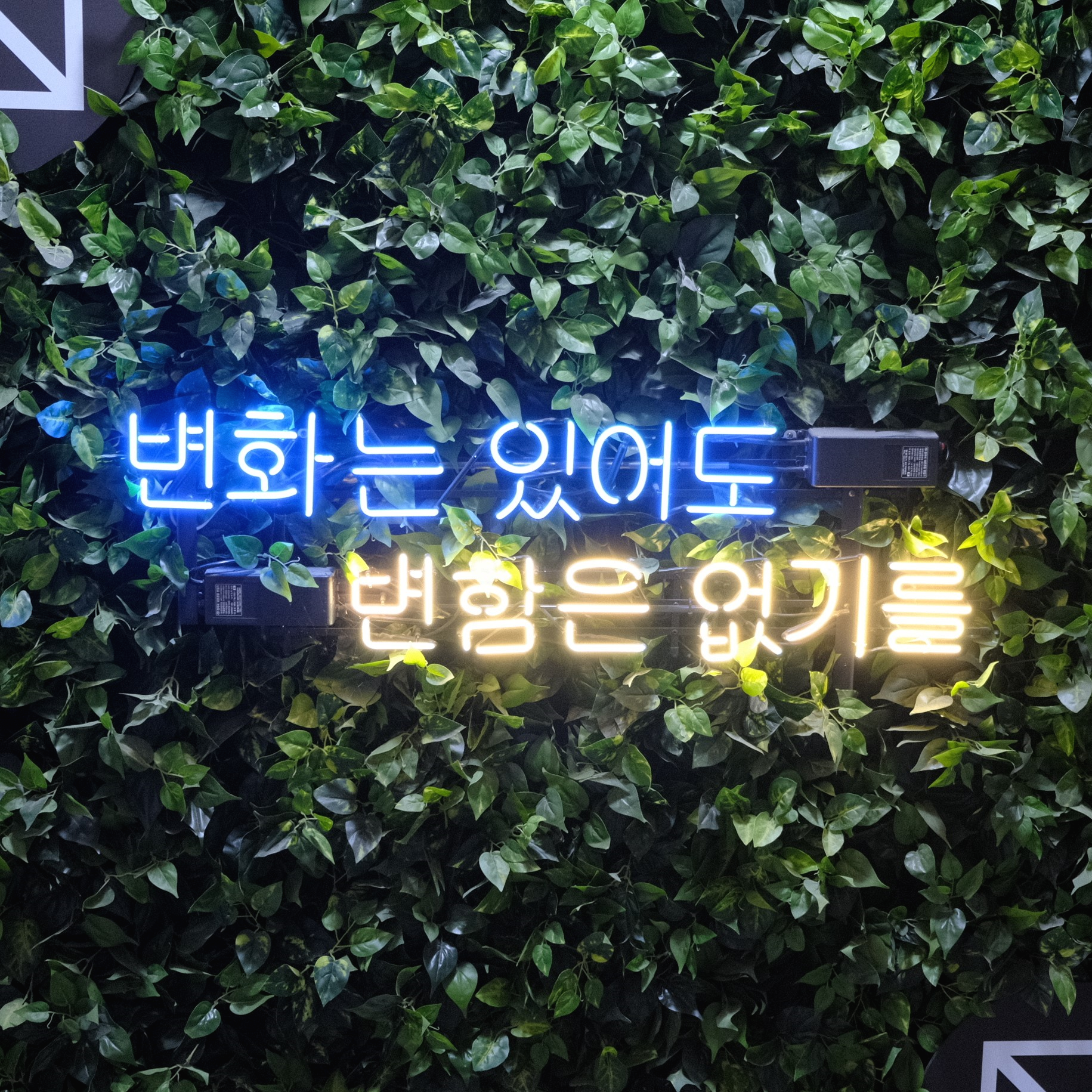  [2020.07.01] 자기소개서