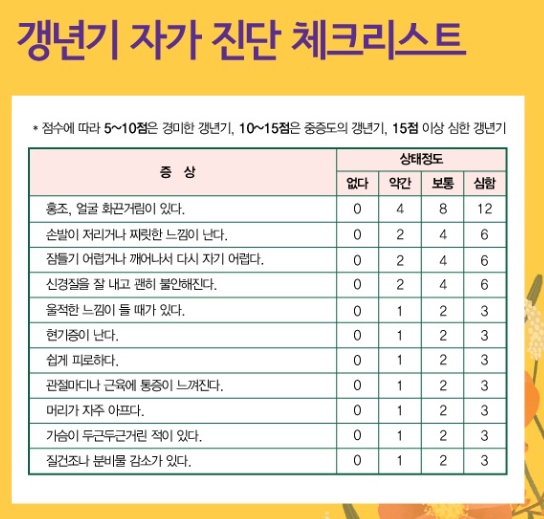 갱년기 증상