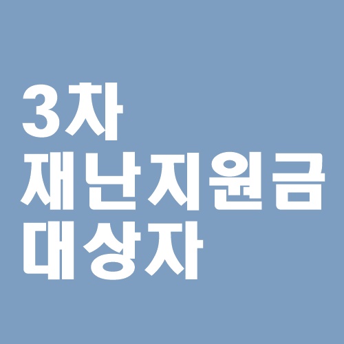  3차재난지원금 대상