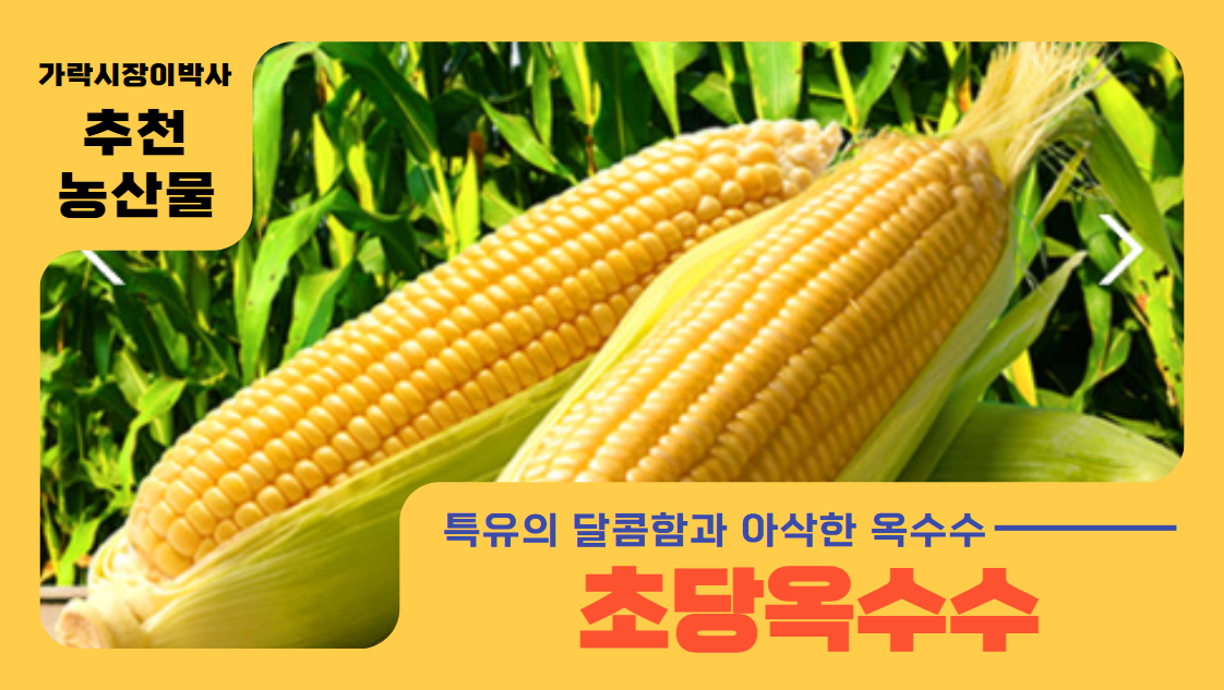  달디달고 달리달고 달디단 초당옥수수 [경매사 추천농산물-5월]