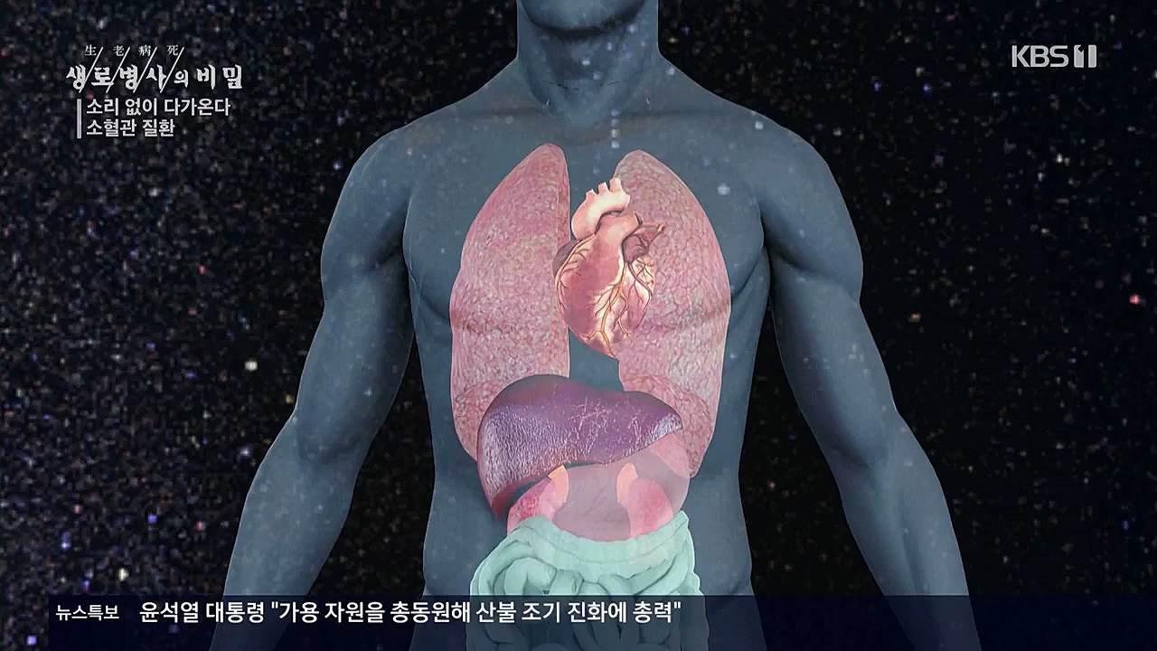 생로병사의비밀.E862.230309p.WANNA.mp4_20230309_194550.073.jpg