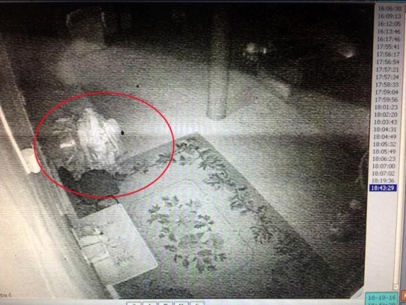 75년간 상자 속에서 명상한 스님이 발견되자 모두가 경악할 수 밖에 없었던 충격적인 이유