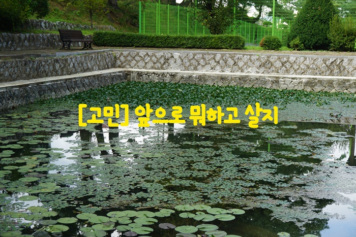  [고민] 앞으로 뭐하고 살지