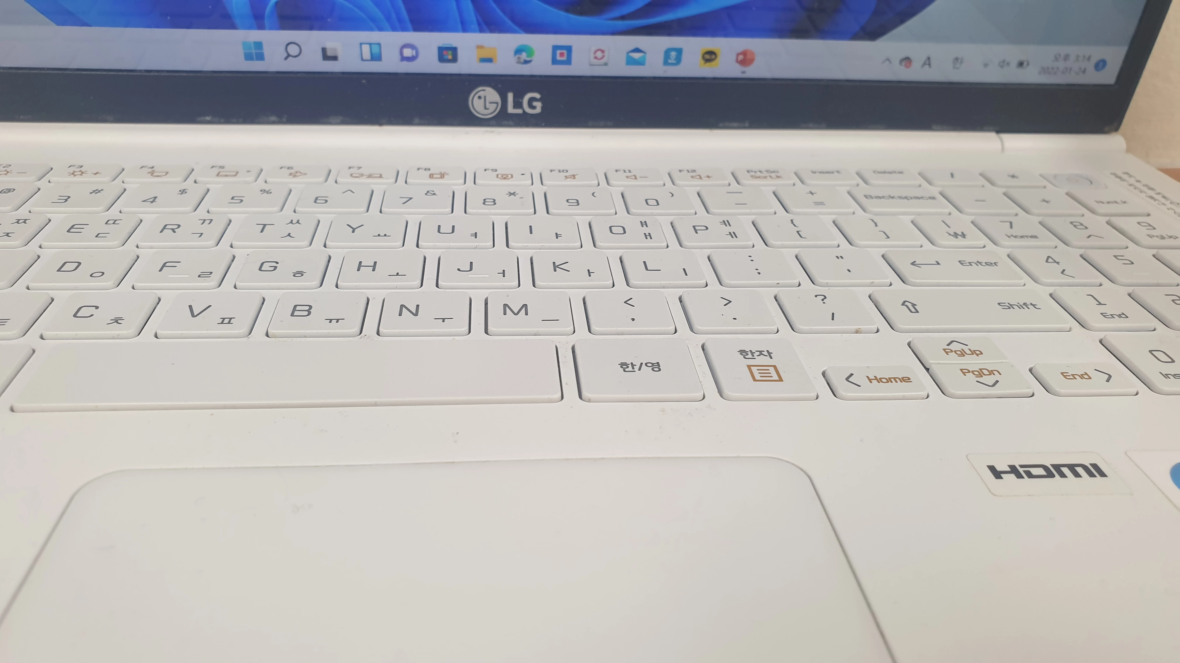 LG 그램 노트북