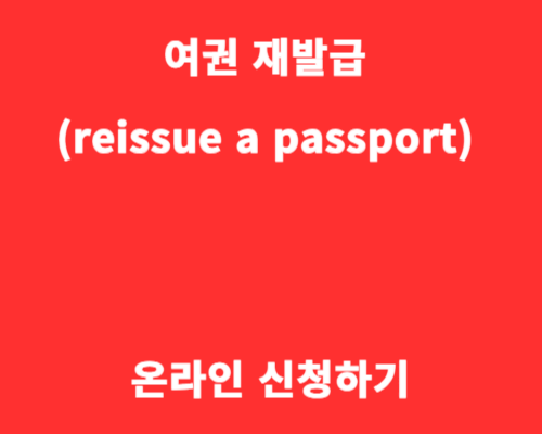 여권 재발급 (reissue a passport) 온라인 신청하기
