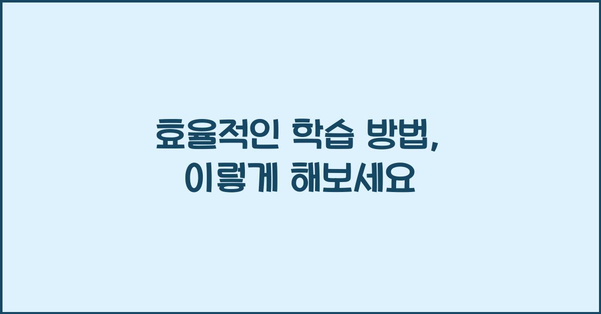 효율적인 학습 방법