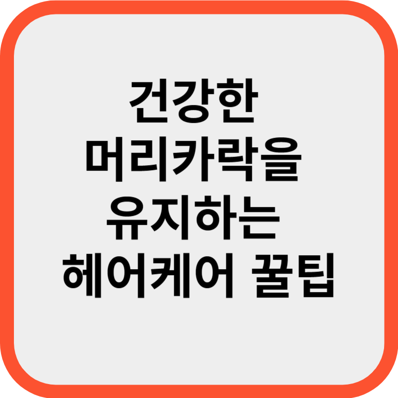 건강한 머리카락을 유지하는 헤어케어 꿀팁