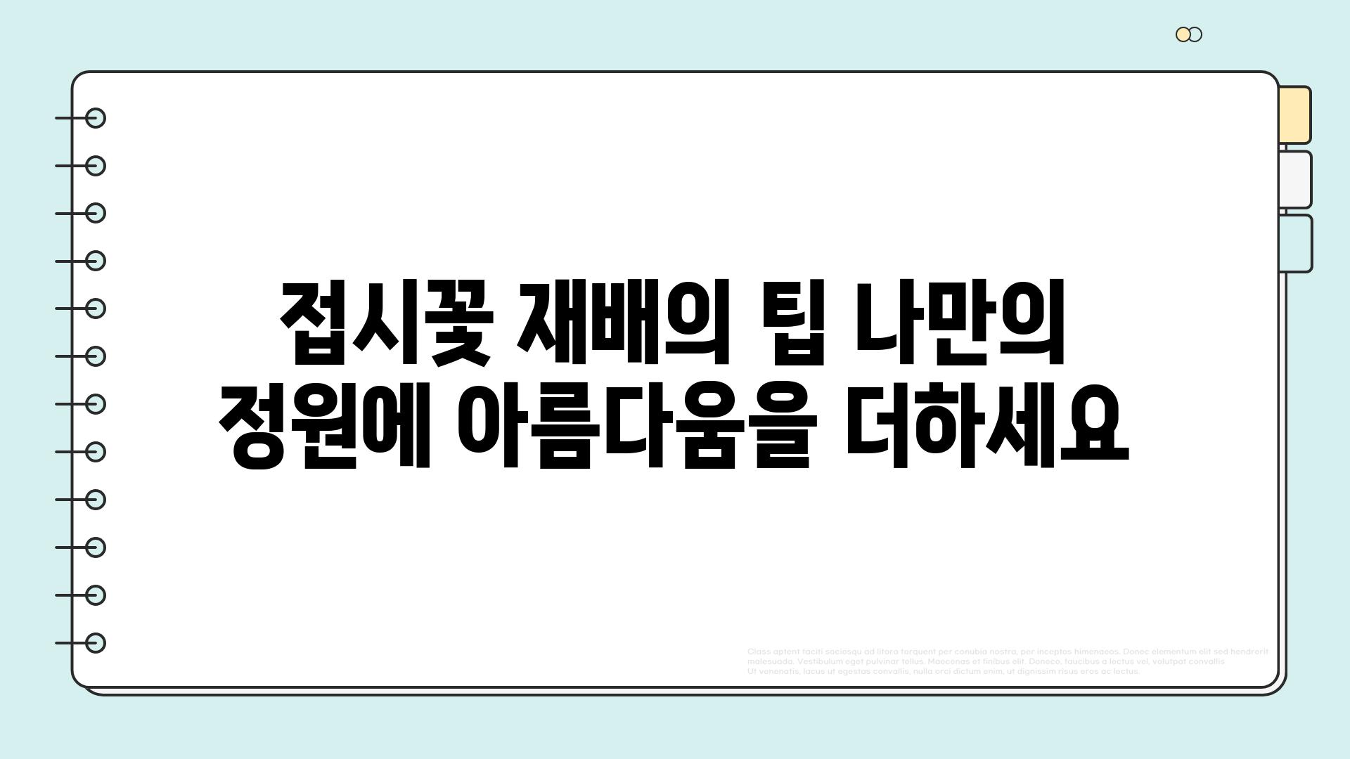 접시꽃 재배의 팁 나만의 정원에 아름다움을 더하세요