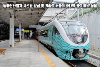 동해산타열차 시간표 예매가능한 날 가격_8