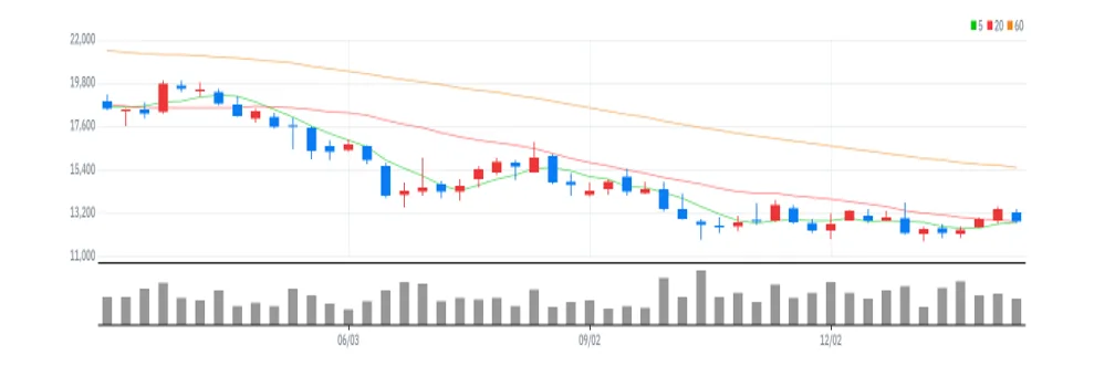 NICE평가정보 주봉