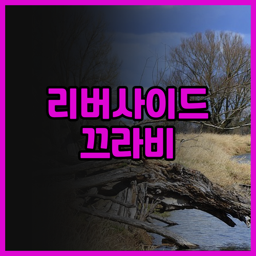 리버사이드 호텔 끄라비 후기 끄라비 