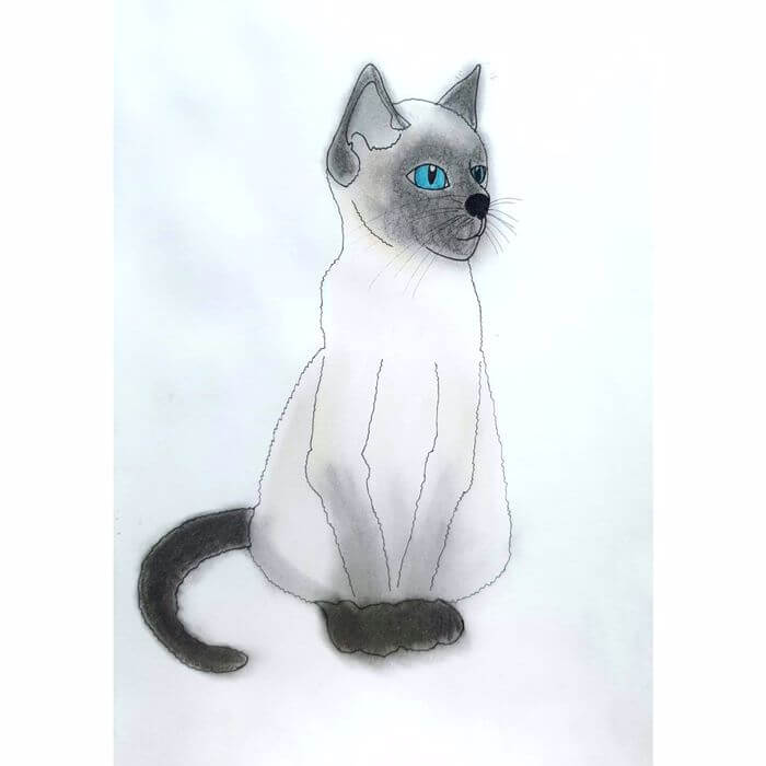  Cat 고양이 일러스트레이션 펜화 색연필화 그리기