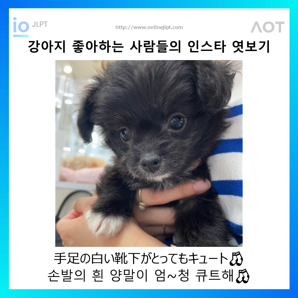  ［인스타 엿보기］手足の白い靴下がとってもキュートc
