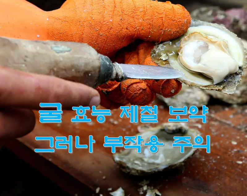  굴 효능 제철 보약 그러나 부작용 주의