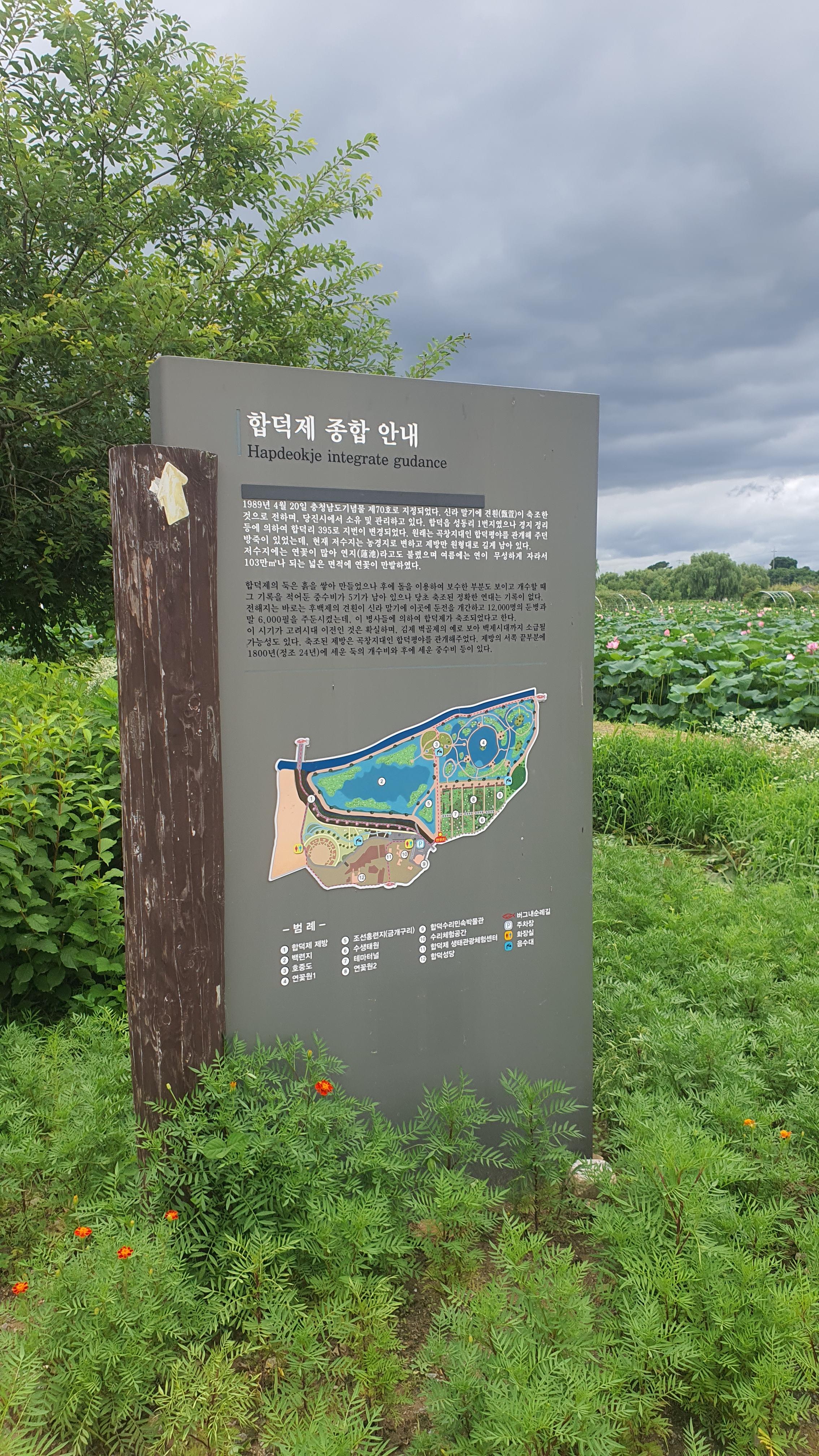 당진 합덕제 연꽃 축제 연호문화축제