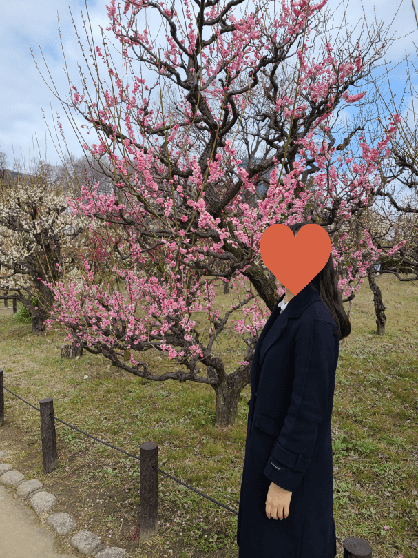 오사카성 매림(Plum forest) 포토존