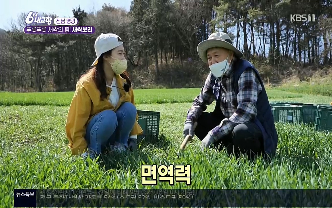 6시 내고향.E7510.220414p.H264-F1RST.mp4_20220419_182543.253.jpg