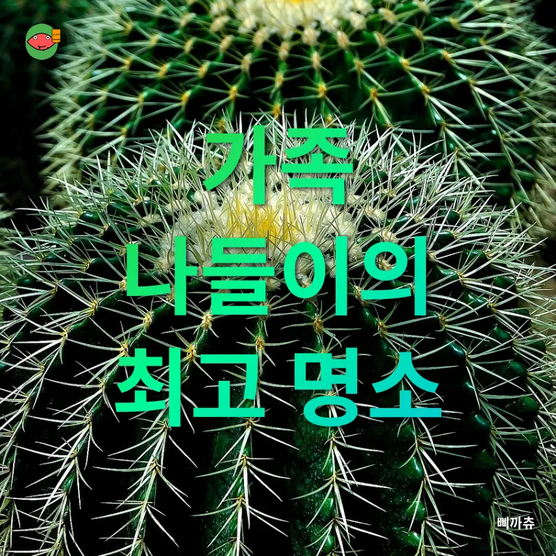 선인장 식물원_3