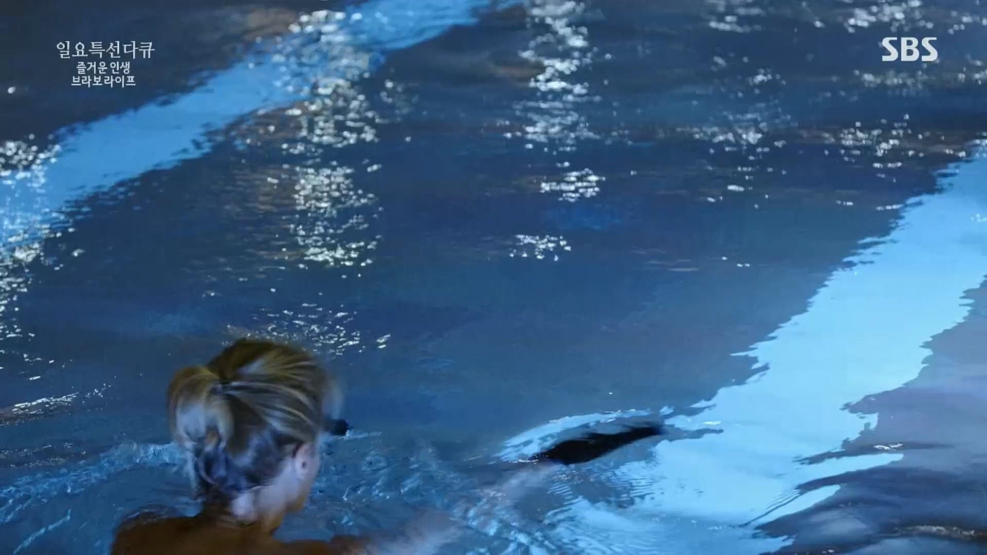 일요 특선 다큐멘터리.E292.221016p.H264-F1RST.mp4_20221018_183614.558.jpg