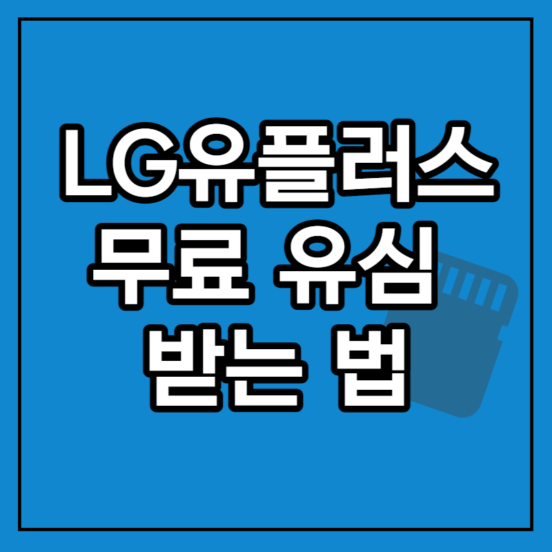 LG유플러스 유심 무료 교체