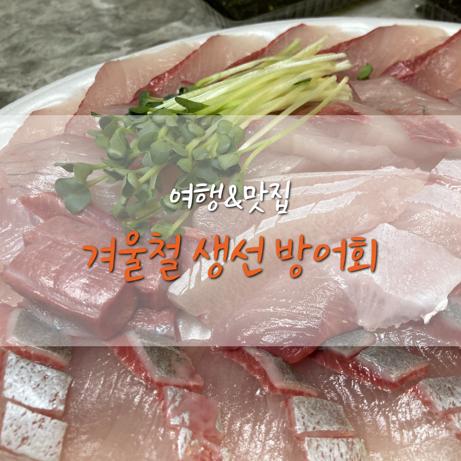 겨울철 제철 생선 방어회 부위 및 맛있게 먹는 방법