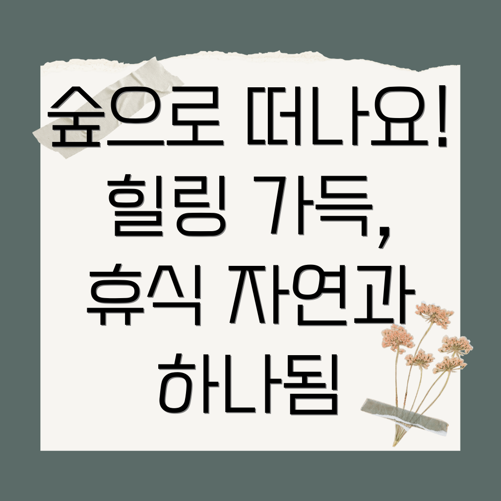 국립자연휴양림 숲나들e