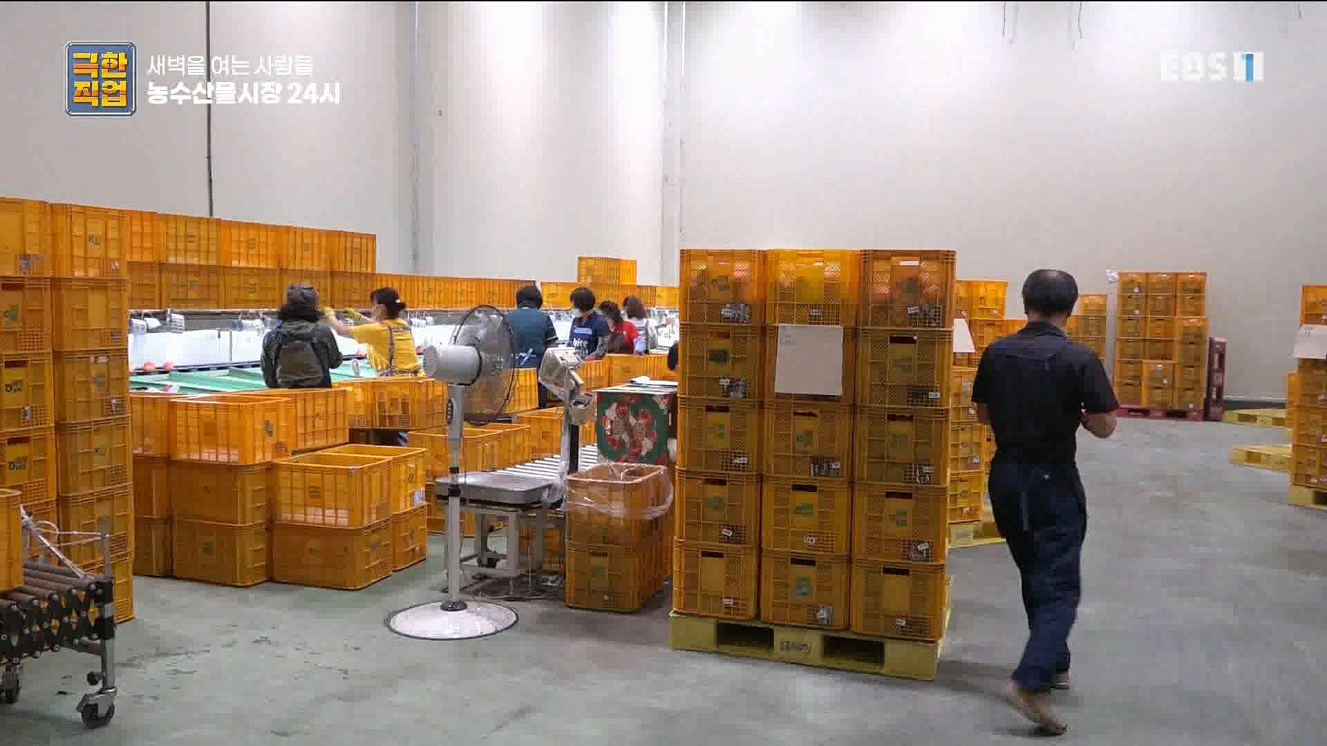 농수산물 시장 24시.mp4_20221020_161727.661.jpg