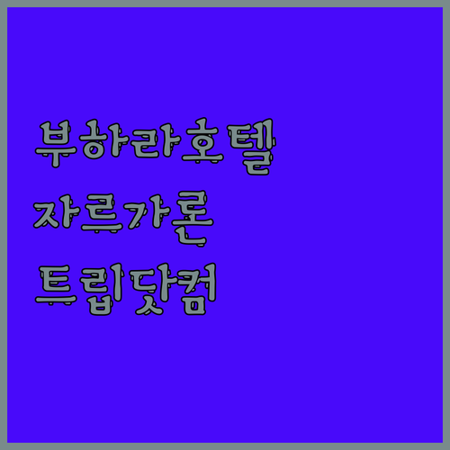 부하라 호텔 추천 자르가론 부티크 호