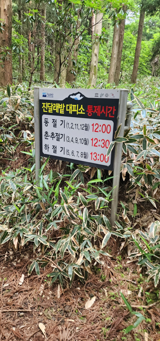 등산사진4