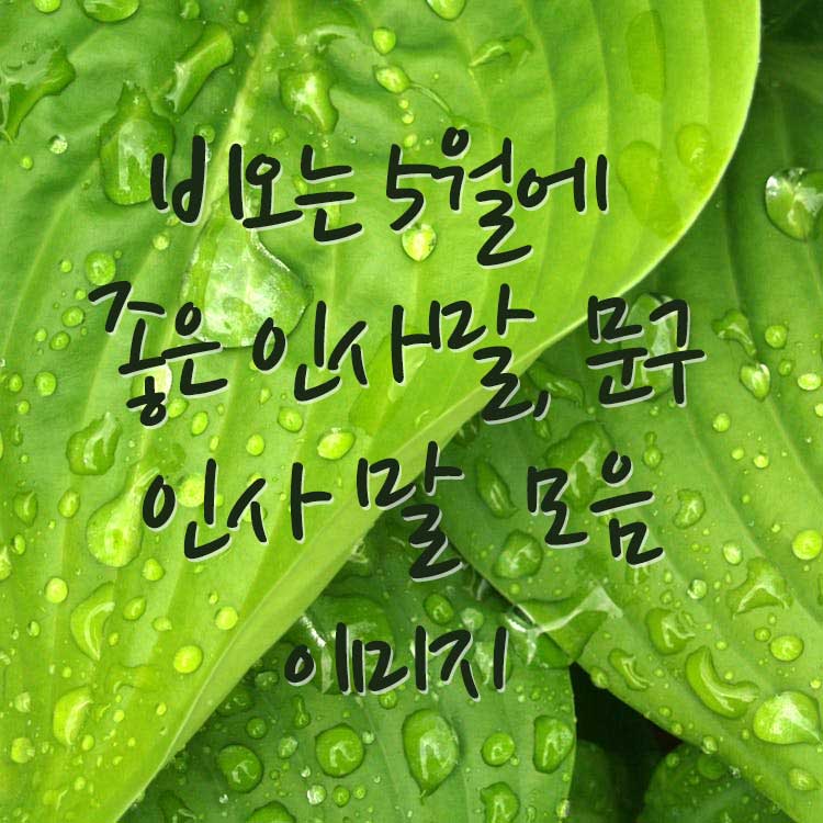 비오는 5월에 좋은 인사말, 문구