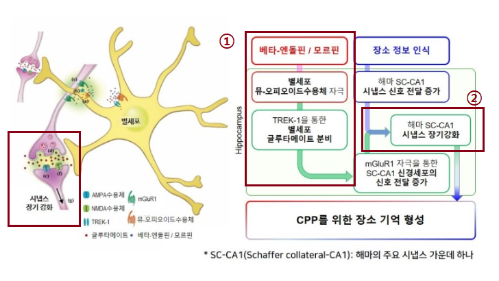  학습 효과를 높이기 위한 두뇌 강화 방법