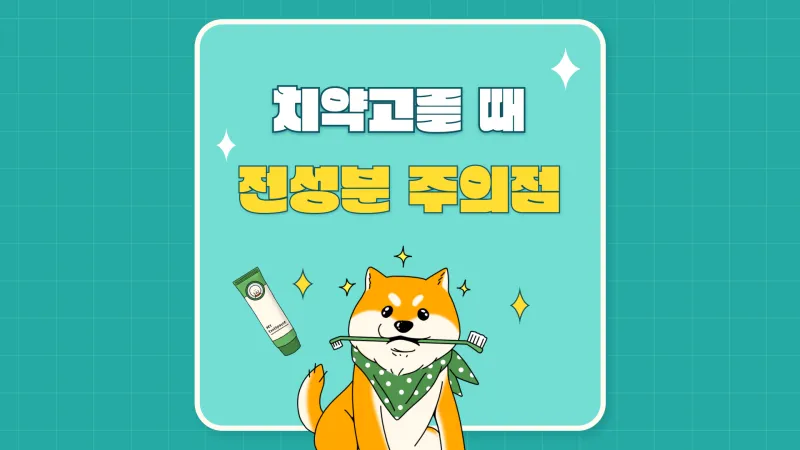 치약 전성분 주의사항 썸네일