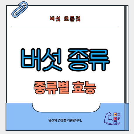 버섯-종류