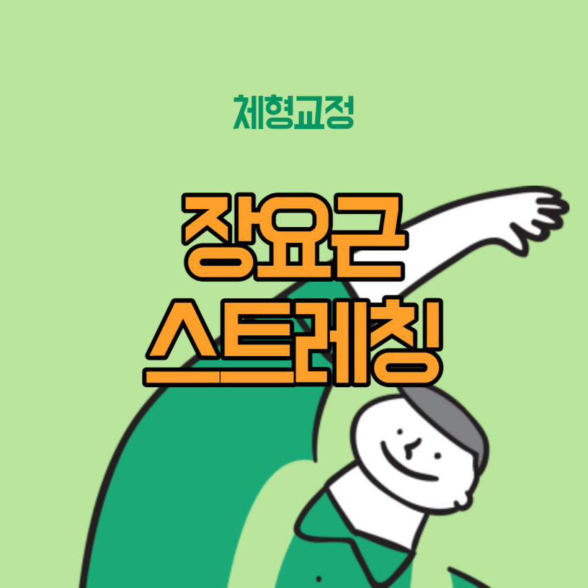  [허리통증] 장요근 스트레칭으로 허리통증 잡아보자